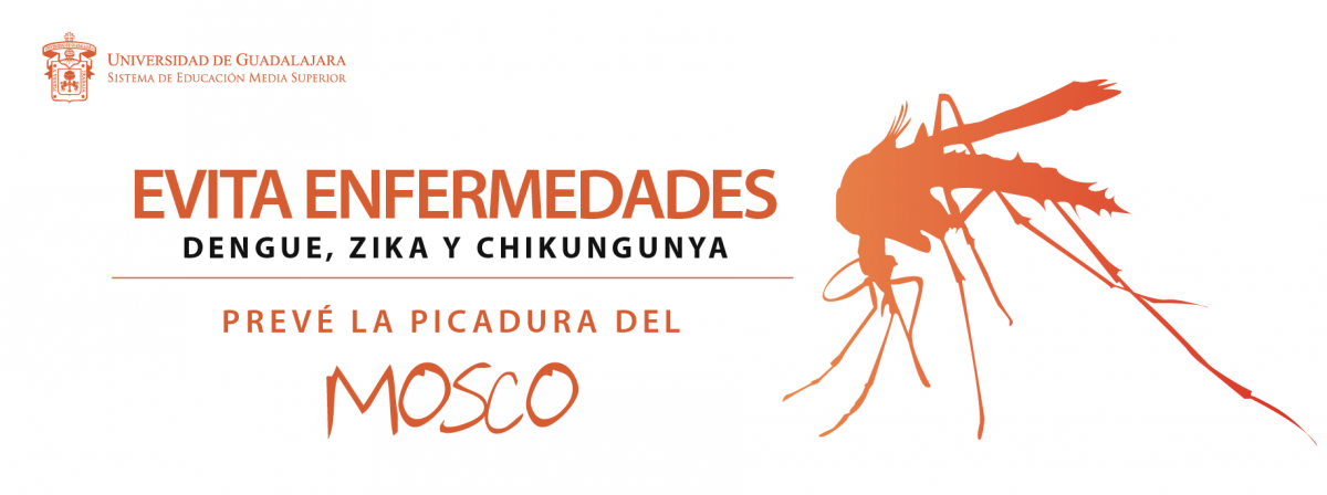 GUIA PREPA ABIERTO guia prepa abierto: